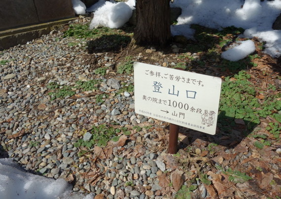 DSC04510