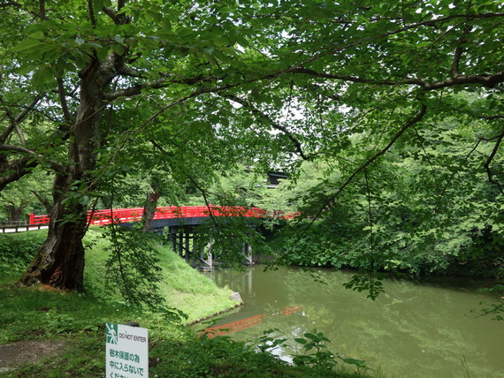 DSC03600