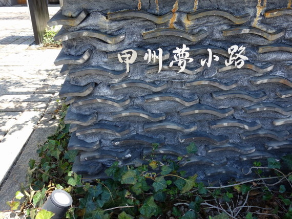 DSC05560