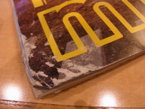 b9b82cd7.jpg