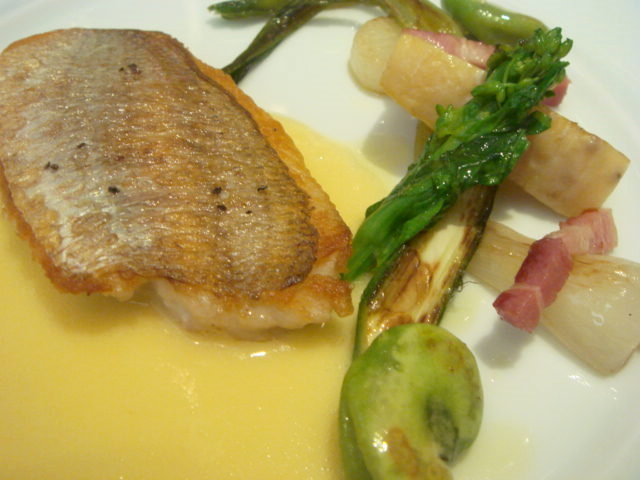 ba8451e1.jpg
