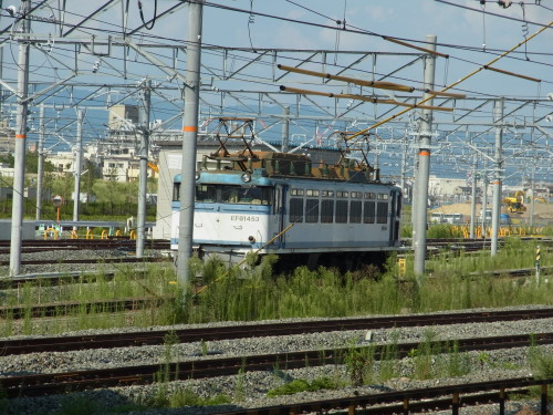 c5454659.jpg