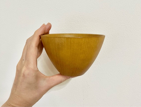 FullSizeRender
