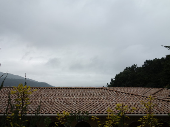 DSC04565