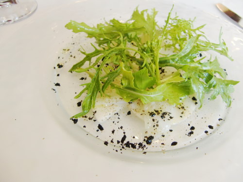 d42626f5.jpg
