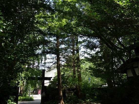 DSC03748