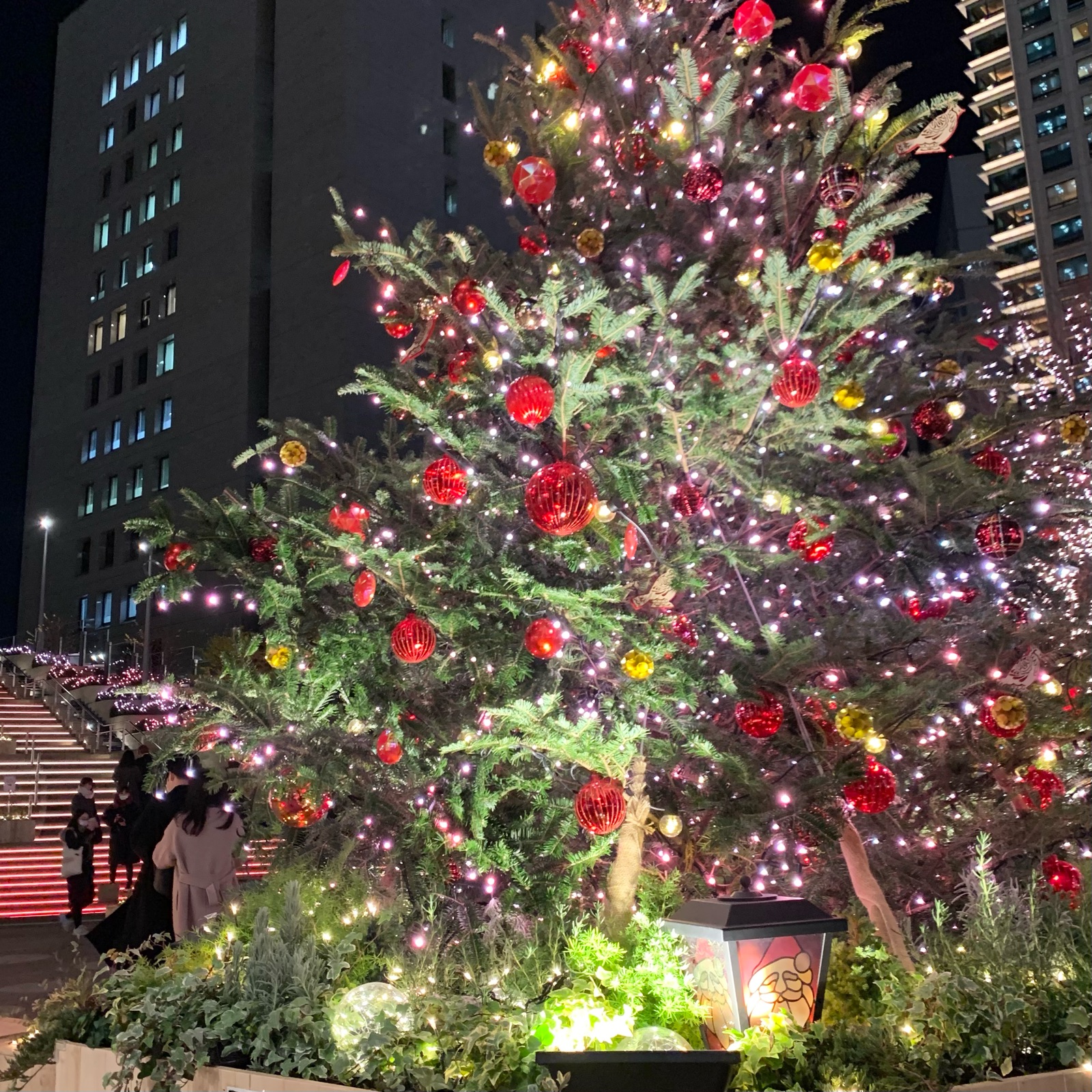 クリスマスがやってくる そんな毎日 こんな毎日 Powered By ライブドアブログ クリスマスがやってくる そんな毎日 こんな毎日 Powered By ライブドアブログ