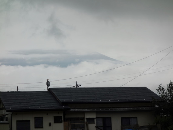 DSC04554