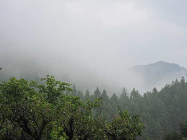 雲が降りて