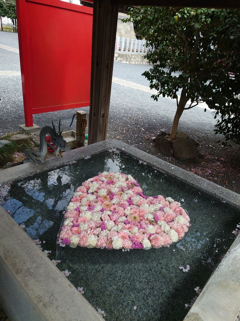 あけぼの山農業公園 紅龍山布施弁天東海寺 櫻木神社 4月9日 ヒナちゃんのblog あけぼの山農業公園 紅龍山布施弁天東海寺 櫻木神社 4月9日 ヒナちゃんのblog