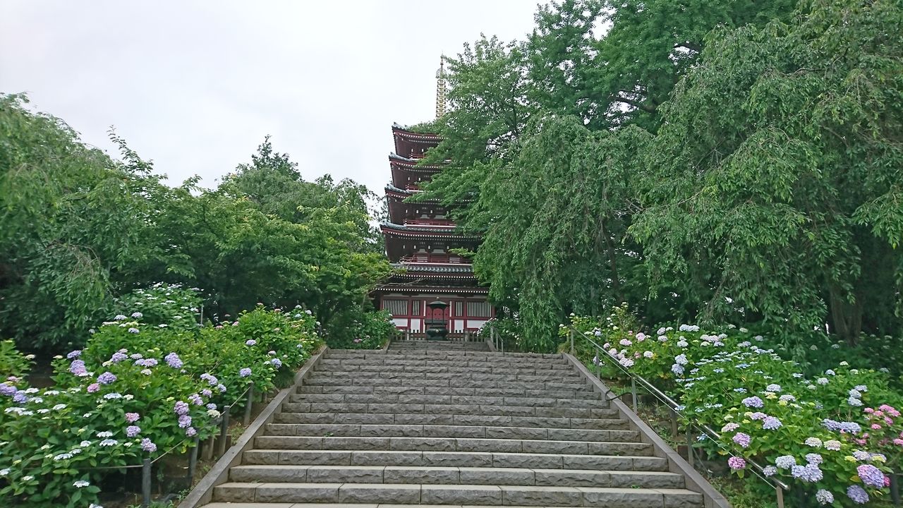本土寺 板橋区美 千葉市美 日本美術コレクション展 夢のchitabashi美術館 千葉市美術館 6月9日 ヒナちゃんのblog