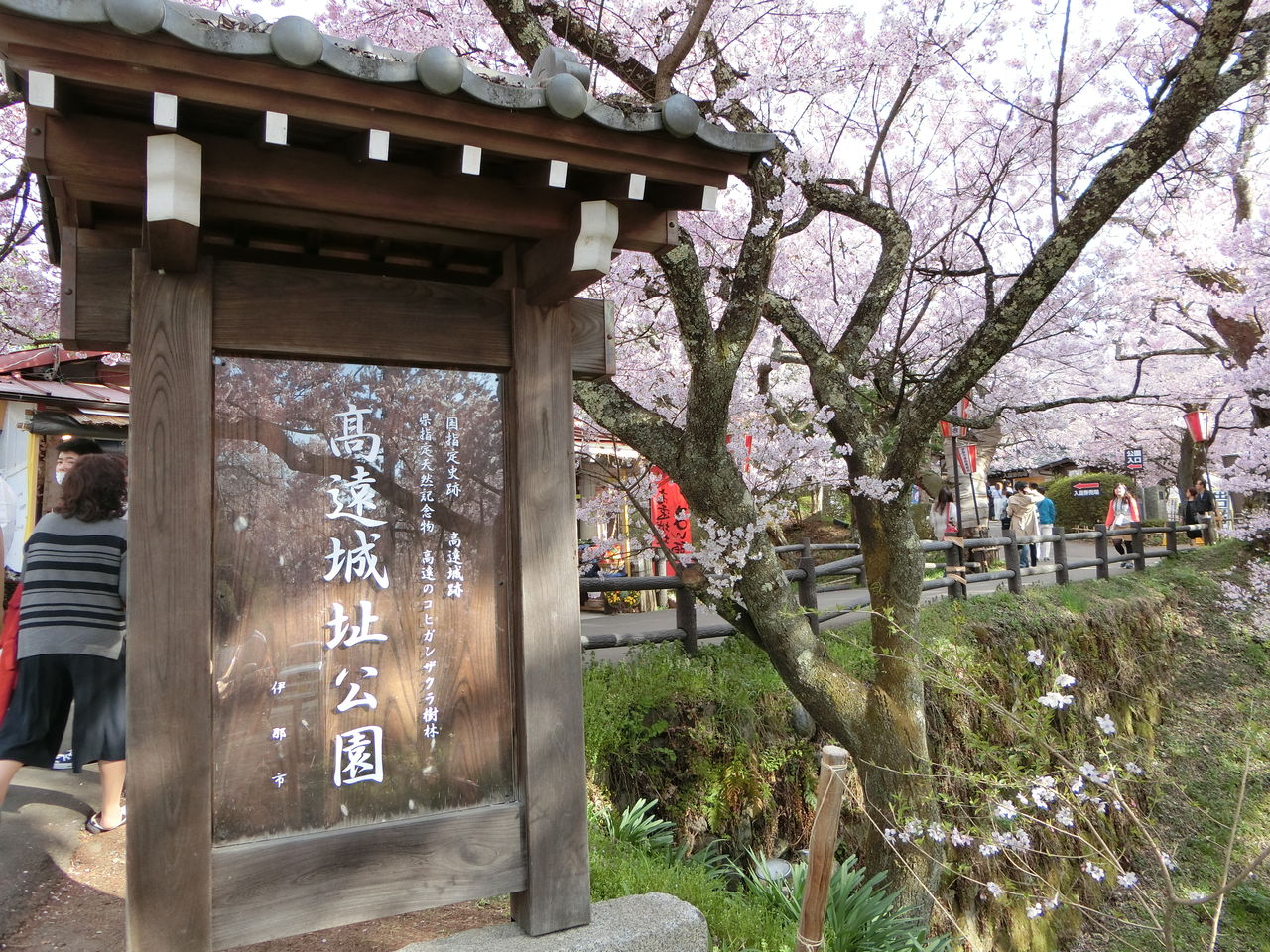 17 高遠城址公園 さくら祭り 4月22日 ヒナちゃんのblog 17 高遠城址公園 さくら祭り 4月22日 ヒナちゃんのblog