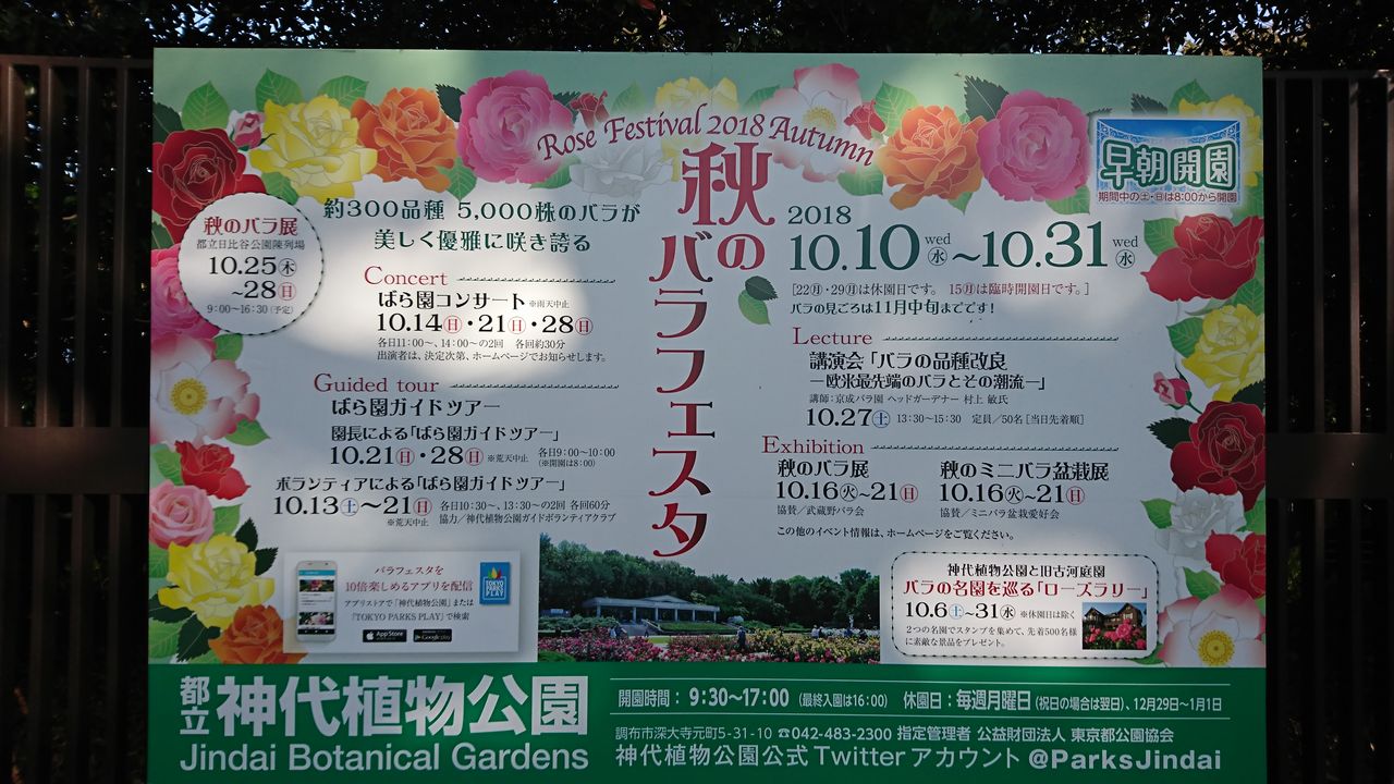 秋のバラフェスタ18 神代植物公園 10月日 ヒナちゃんのblog