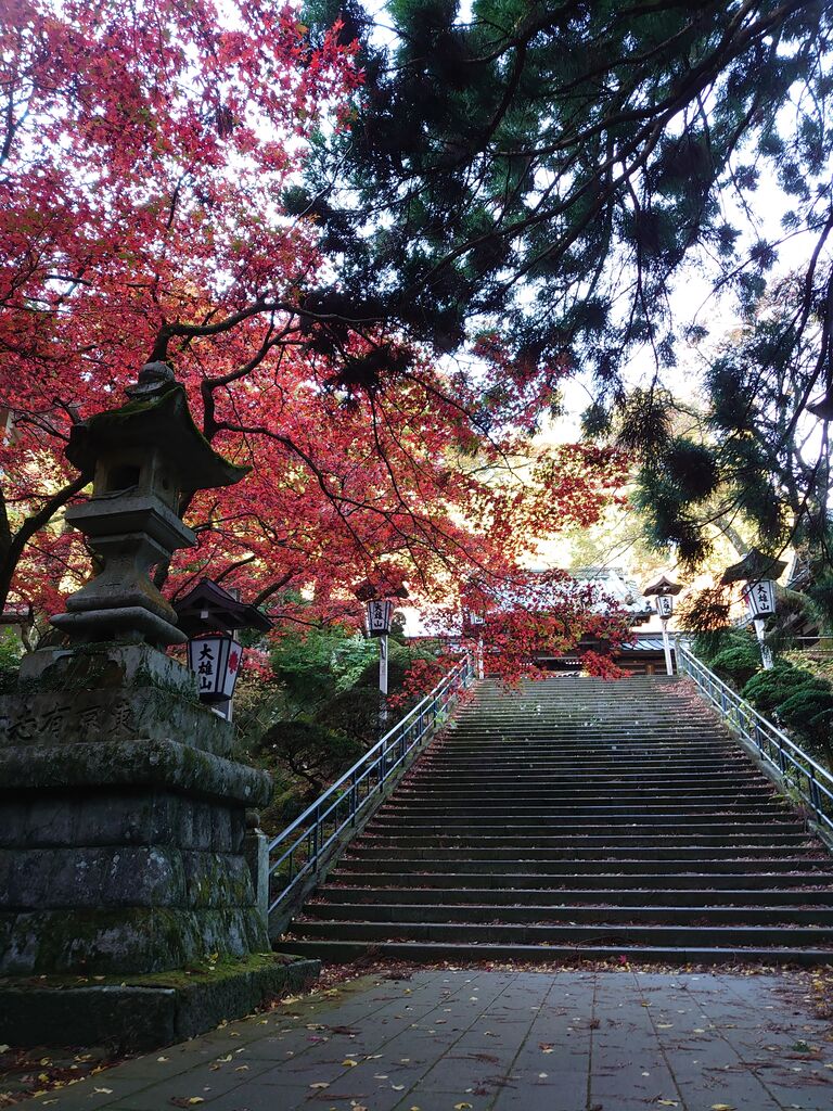 年の紅葉 大雄山最乗寺 宮ケ瀬湖 11月23日 ヒナちゃんのblog 年の紅葉 大雄山最乗寺 宮ケ瀬湖 11月23日 ヒナちゃんのblog