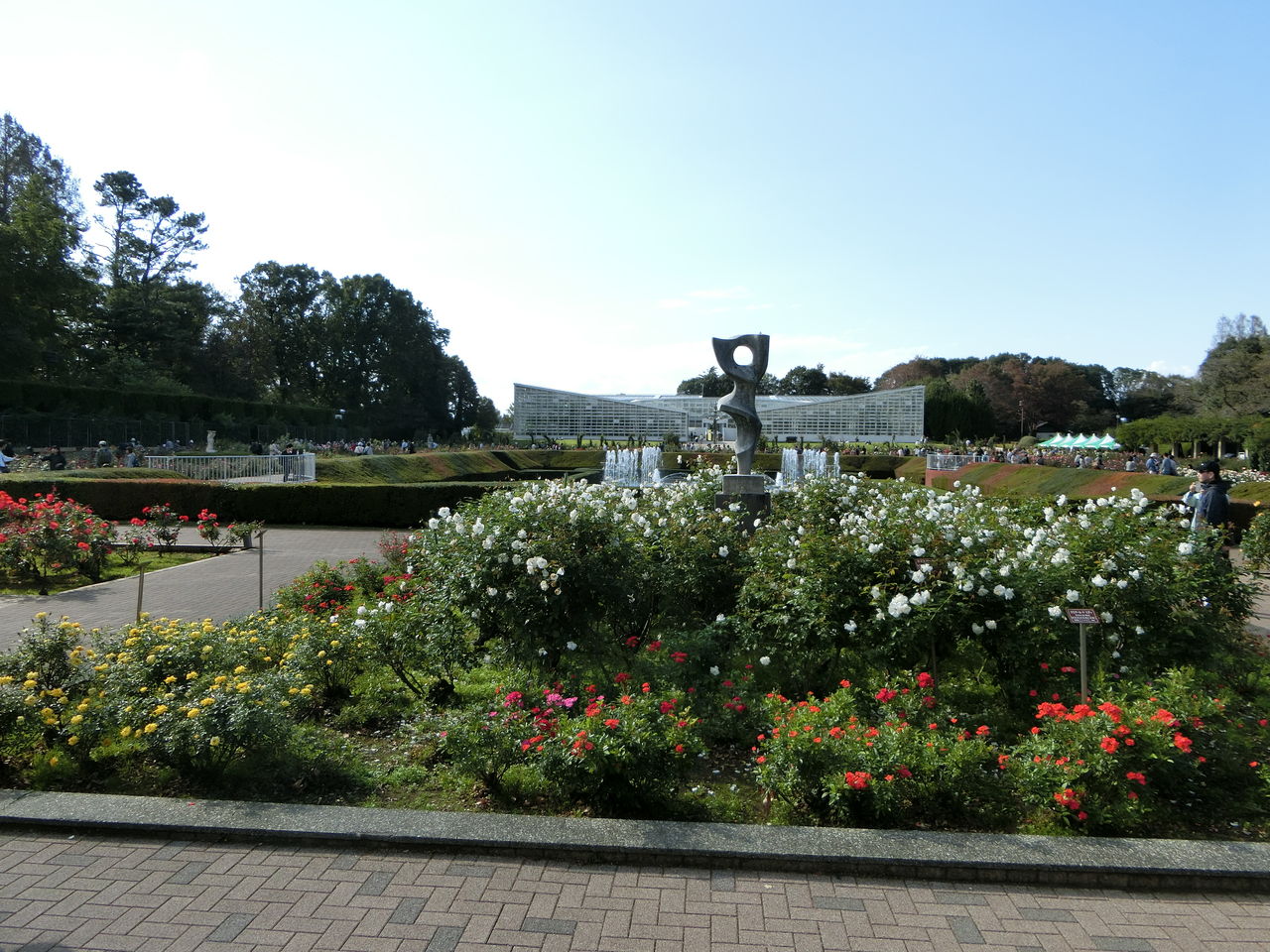 秋のバラフェスタ18 神代植物公園 10月日 ヒナちゃんのblog 秋のバラフェスタ18 神代植物公園 10月日 ヒナちゃんのblog