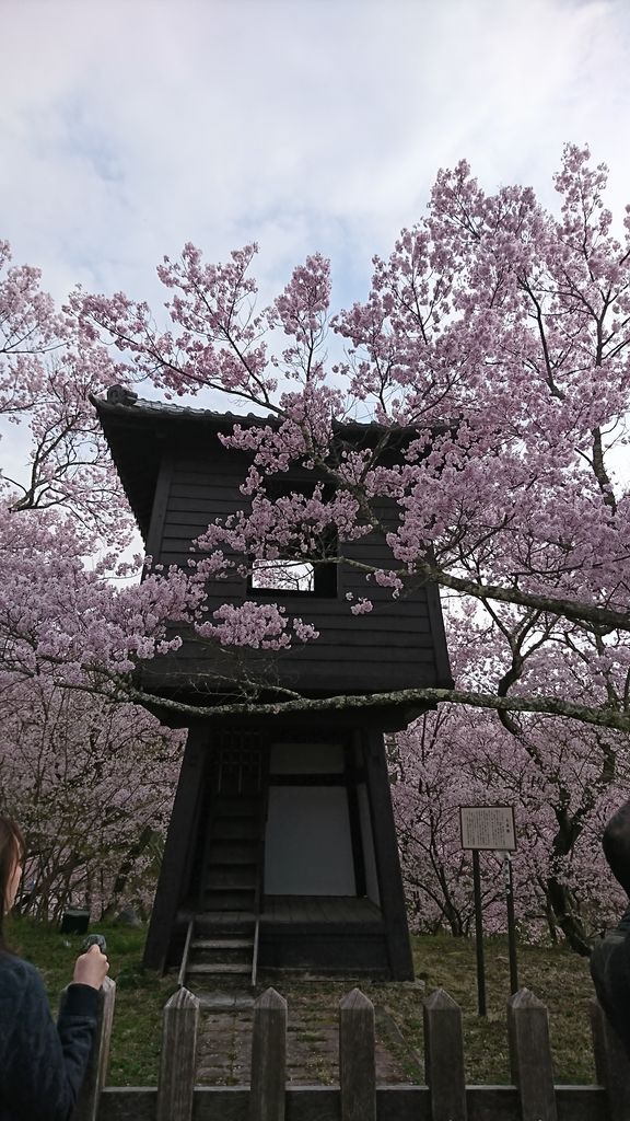 17 高遠城址公園 さくら祭り 4月22日 ヒナちゃんのblog