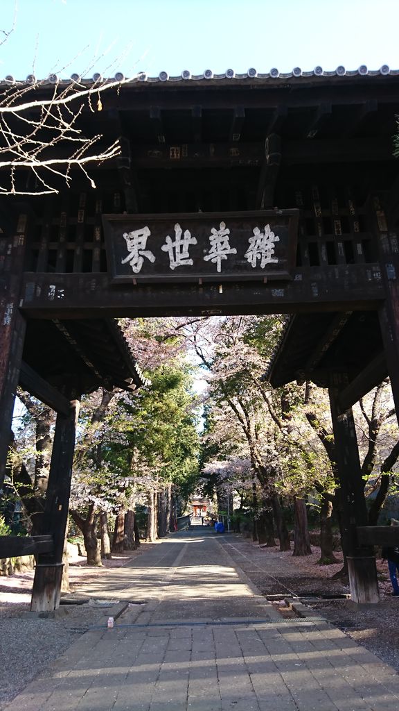 19年お花見 Part3 武田神社 恵林寺 清春芸術村 4月13日 ヒナちゃんのblog