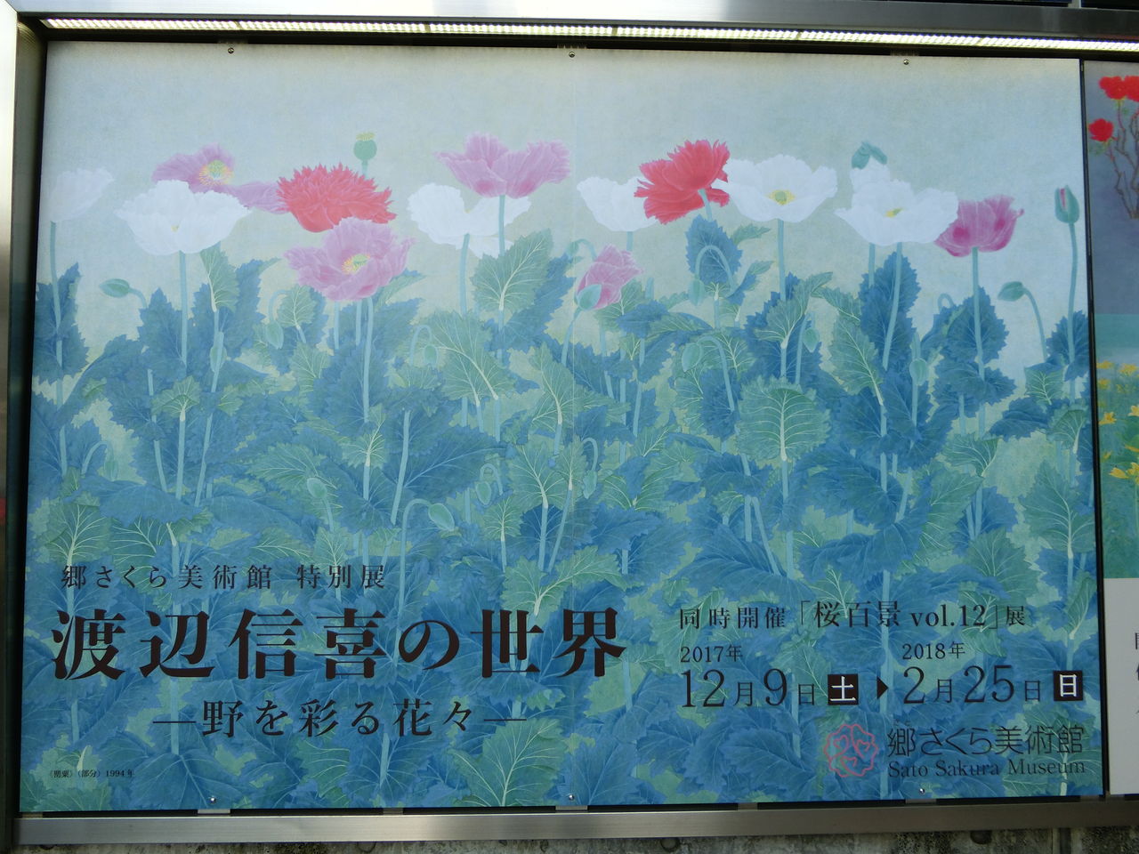 渡辺信喜の世界-野を彩る花々-郷さくら美術館(1月7日 渡辺信喜の世界-野を彩る花々-郷さくら美術館(1月7日