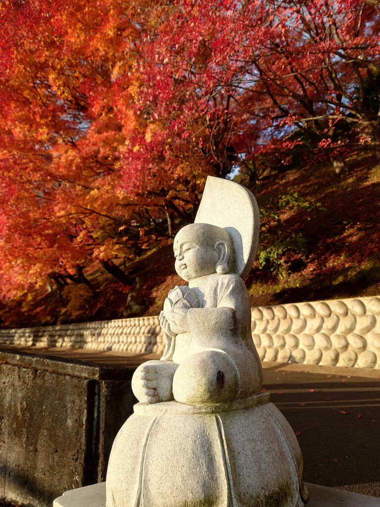 21年の紅葉 永源寺 袋田の滝 竜神峡編 11月14日 ヒナちゃんのblog