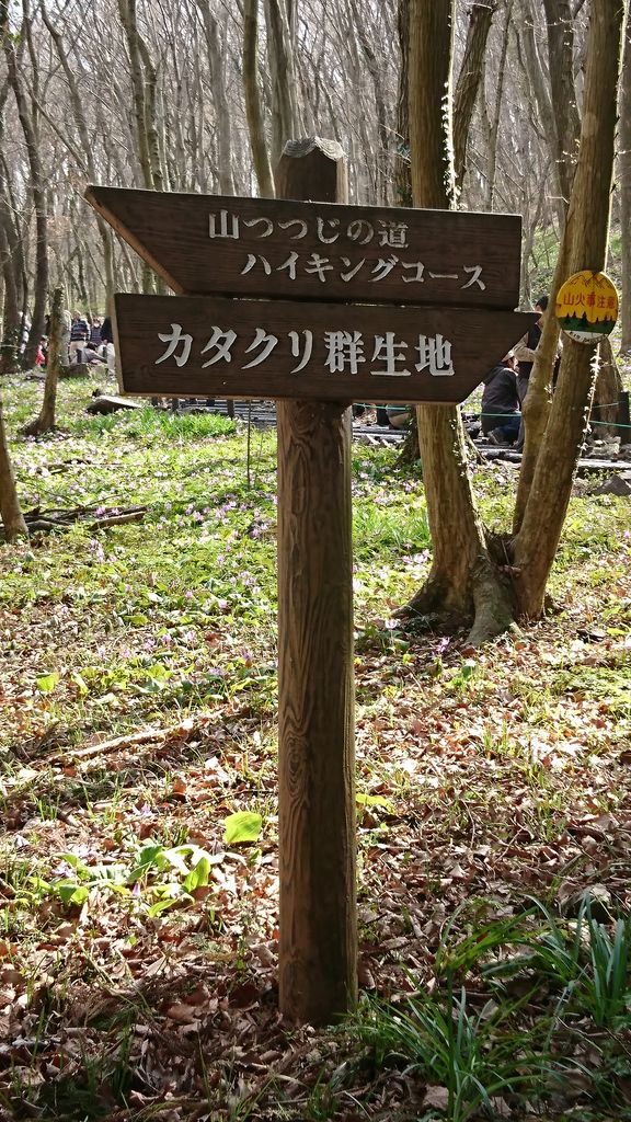 みかも山公園 カタクリ群生地 3月25日 ヒナちゃんのblog