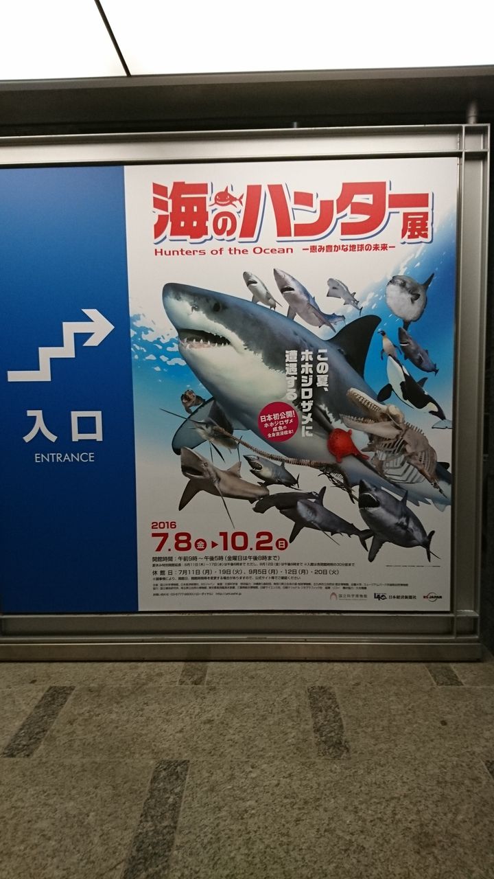 海のハンター展 国立科学博物館 10月1日 ヒナちゃんのblog