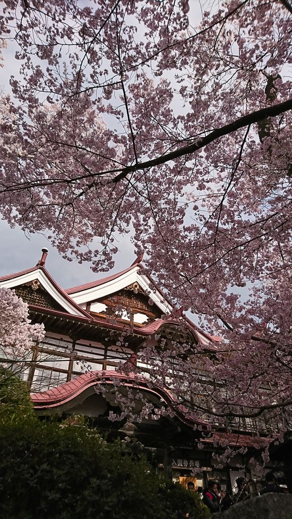 17 高遠城址公園 さくら祭り 4月22日 ヒナちゃんのblog 17 高遠城址公園 さくら祭り 4月22日 ヒナちゃんのblog