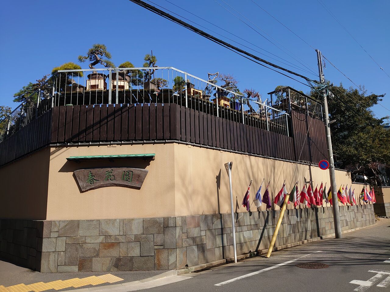 春花園bonsai美術館 2月6日 ヒナちゃんのblog