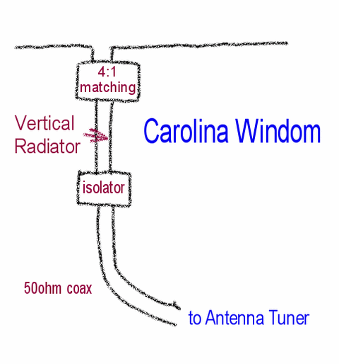 Carolina Windom