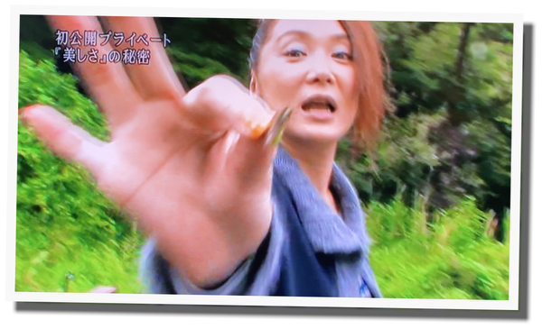 浅野温子 うどんこ