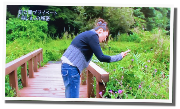 浅野温子 うどんこ