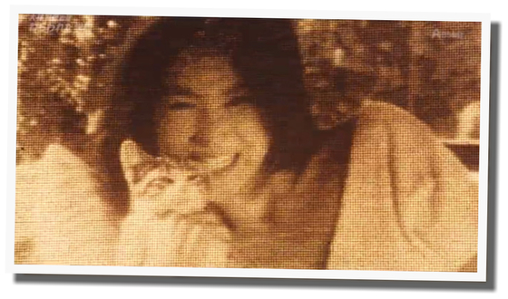 浅野温子 映画「ねらわれた学園」