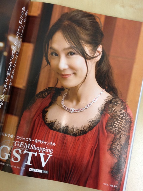 GSTV201311