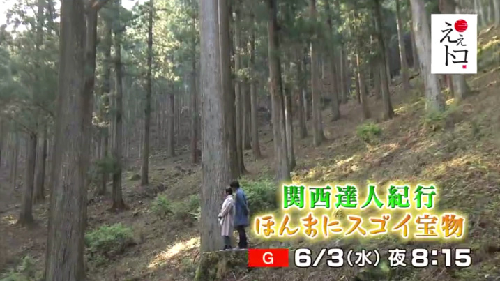 えぇトコ
