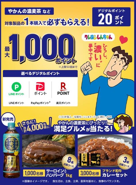 令和6年6月16日(日)まで】レシート登録で「20P」もらえるやかんの濃