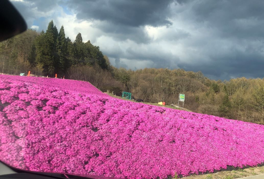 地震多発中 だそうです 御代田町 西軽井沢 移住生活 軽井沢移住