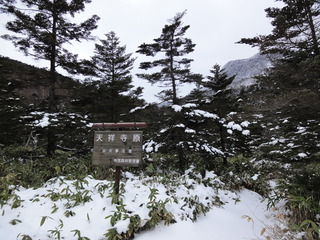 tenzyouzihara