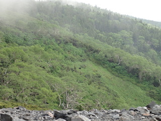 DSC05640