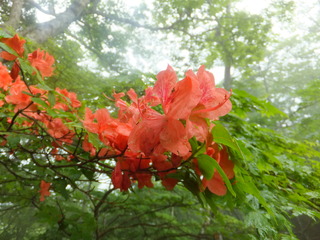 DSCF3474