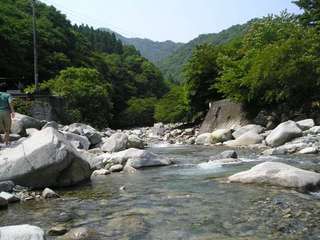 2009062