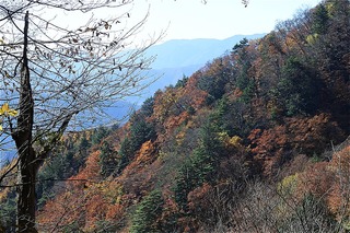 s-DSC_1353