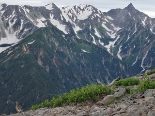 DSC05742