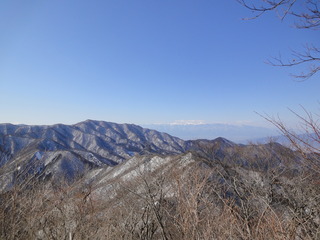 sasago6
