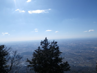 IMGP0316