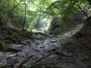 DSCF3464