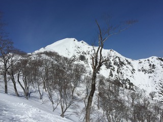 IMG_3286