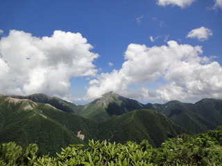 DSC06005