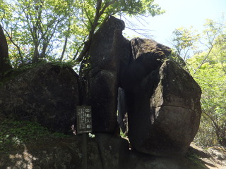 DSCF3388