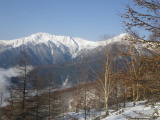 IMGP0300