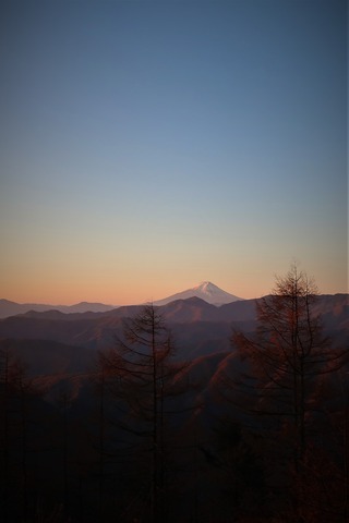 IMG_1833 (2)