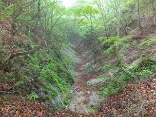 DSCF3470